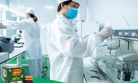 Tảo xoắn Đại Việt - Thương hiệu tảo nội địa chất lượng, đa dạng sản phẩm