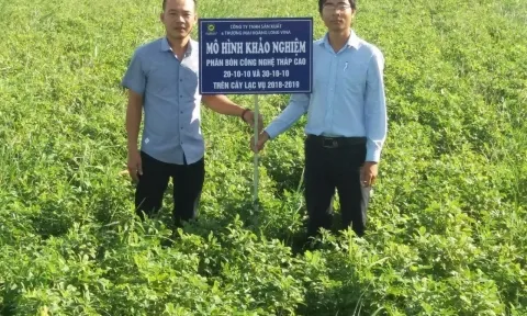 Hoàng Long Vina - Chặng đường 20 năm phát triển
