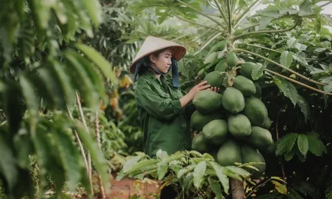 Từ một cô gái nhà nông đến video Tiktok triệu view vạn người mê