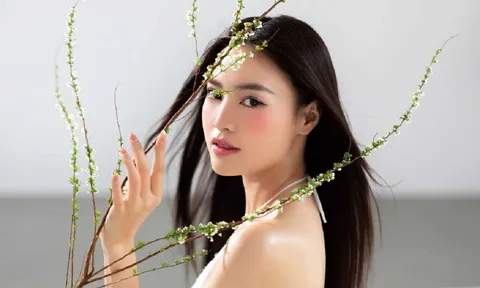Choáng váng trước khối tài sản của Ninh Dương Lan Ngọc sau hơn 1 thập kỉ bước chân vào showbiz Việt