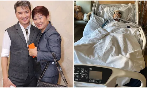 Ly hôn 1 năm, Đàm Vĩnh Hưng vẫn ‘tận nghĩa’ với mẹ vợ cũ, thái độ khi bà nằm liệt giường gây xôn xao