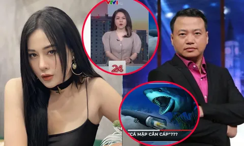  VTV24 có động thái ẩn ý thâm sâu giữa ồn ào của Phương Oanh và Shark Bình, CĐM xôn xao vì quá 'mặn'