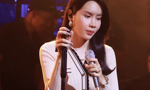 Vợ Hồ Hoài Anh lộ diện sau nhiều ngày ẩn mình, tình trạng hiện tại khiến dân tình lo lắng