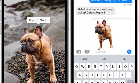Hướng dẫn tách nền chủ thể siêu đơn giản trên iPhone chạy iOS 16