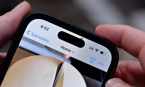 Huớng dẫn 'nuôi thú' siêu đáng yêu trên Dynamic Island của iPhone 14 Pro và 14 Pro Max