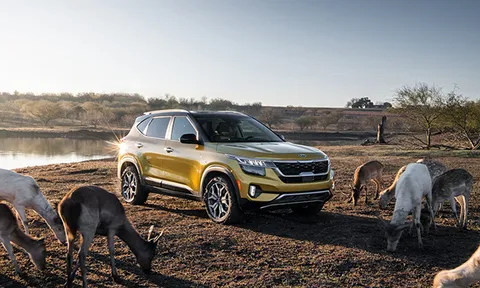 Giá lăn bánh Kia Seltos tháng 10/2022: Cực hấp dẫn, làm khó Hyundai Creta