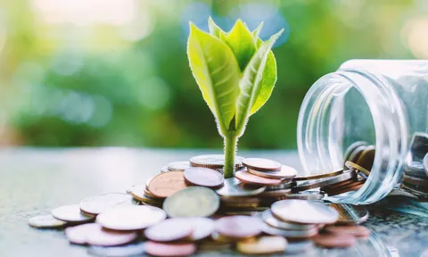 Người trẻ muốn kiếm tiền, nên bắt đầu từ đâu?