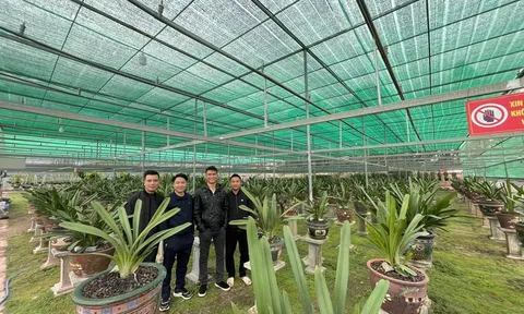 Ngô Gia Bình: Thị trường hoa lan thực sự hấp dẫn các nhà đầu tư không chỉ bởi lợi nhuận rất cao