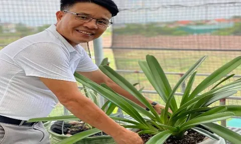 Nguyễn Văn Dương từ người thợ mộc nghèo đến tỷ phú nhờ đam mê hoa lan
