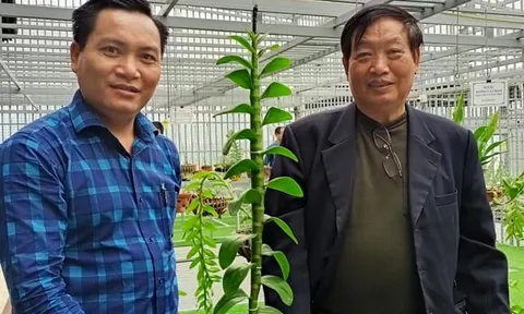 Dương Văn Lập: Cần tăng cường liên kết 5 Nhà để xây dựng ngành hoa lan phát triển bền vững