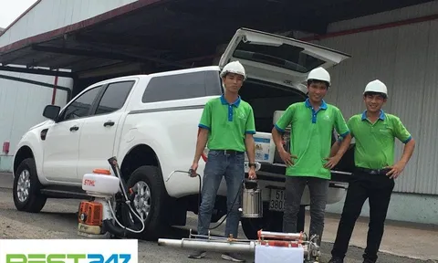 Khử Trùng Xanh – Thương hiệu diệt mối hàng đầu tại TPHCM