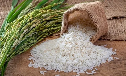 Những loại thực phẩm tưởng ngon, bổ nhưng hóa ra lại ẩn chứa nhiều chất độc hại, có thể gây ung thư