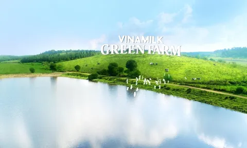 Mới: Sữa tươi Green Farm từ trang trại sinh thái - Team #Gogreen đừng bỏ qua