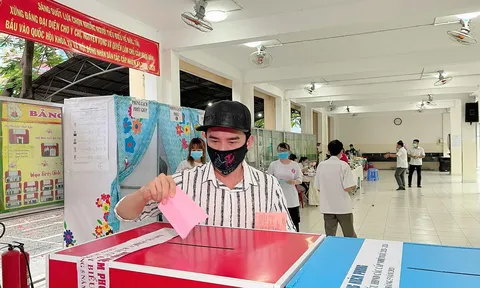 Nghệ sĩ Việt nô nức đi bầu cử