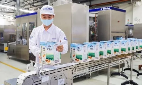 Phong độ ổn định, Vinamilk tiếp tục nằm trong Top 10 của 50 doanh nghiệp niêm yết tốt nhất 2021