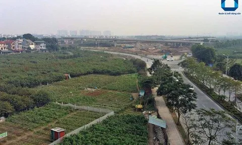 So sánh giá đất lúc trúng đấu giá với giá thị trường khi bán là khập khiễng