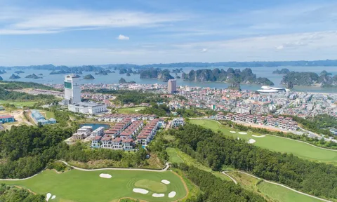 Bất ngờ chính sách ưu đãi “Mua 1 được 8” lần đầu công bố tại FLC Grand Villa Halong