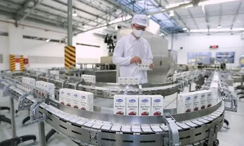 Vinamilk tiếp tục khẳng định uy tín về xuất khẩu, tăng trưởng ổn định trong đại dịch