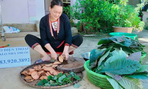 Nhà thuốc Triệu Thị Dung khuyến cáo mọi người cắt thuốc đúng địa chỉ