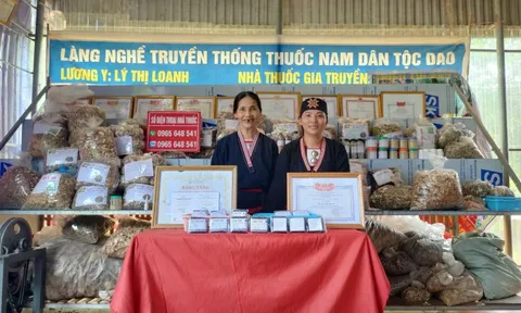 Lý Thị Loanh - Người giữ lửa cho nghề thuốc nam dân tộc Dao Ba Vì