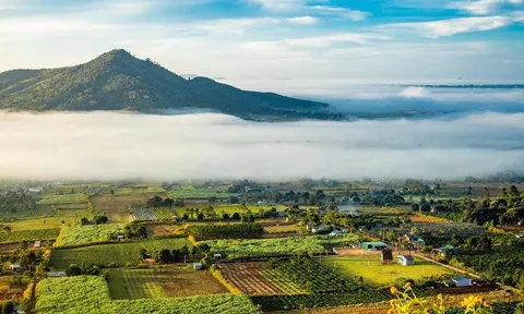 Làn sóng 'bỏ phố về rừng', theo chân ông lớn lên Tây Nguyên săn đất