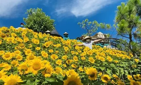 Nhiều trải nghiệm bất ngờ được các điểm đến Sun Group chuẩn bị để chào đón khách trở lại