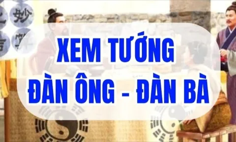 Đàn ông không mao quý như vàng, phụ nữ nhiều phúc ít mao, mao cụ thể là gì?