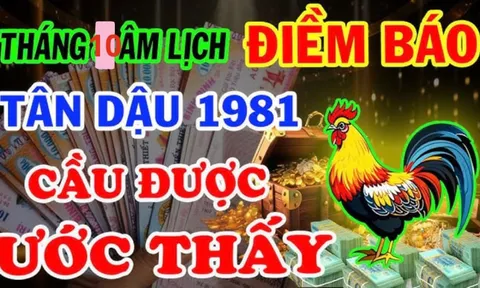 3 tuổi lội ngược dòng tháng 10, lấy lại những gì đã mất, Tiền - Tài -Danh sáng chói