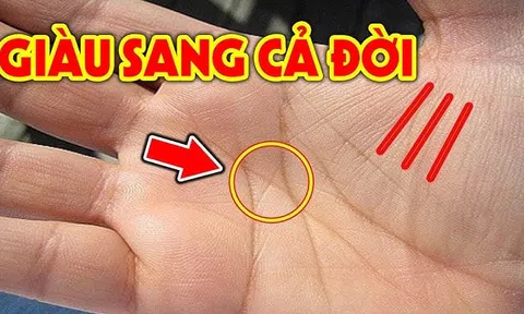 Lòng bàn tay có 5 dấu hiệu này báo trước vận đỏ số son, số 3 hiếm gặp nhất