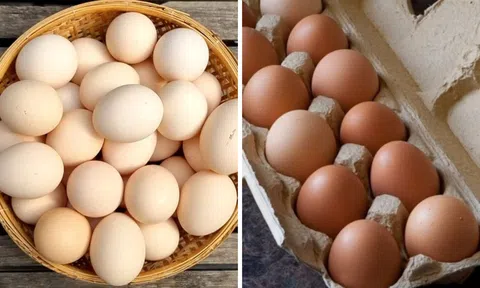Trứng mua về đừng bỏ vào tủ lạnh ngay, làm thêm 1 bước, trứng để cả tháng không hỏng