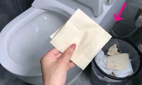 Vì sao người Nhật không bao giờ vứt giấy vệ sinh vào thùng rác?