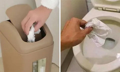 Nên vứt giấy vệ sinh vào bồn cầu hay thùng rác? Rất nhiều người làm sai làm bồn cầu có mùi hôi