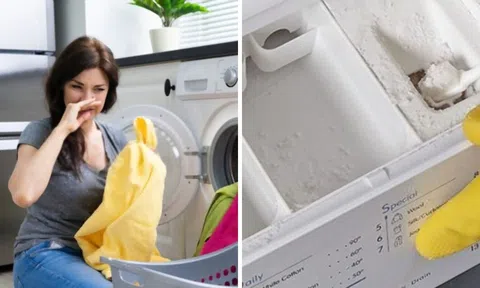 Máy giặt giặt quần áo không sạch, có mùi hôi: Xem ngay bộ phận nhỏ này trên máy