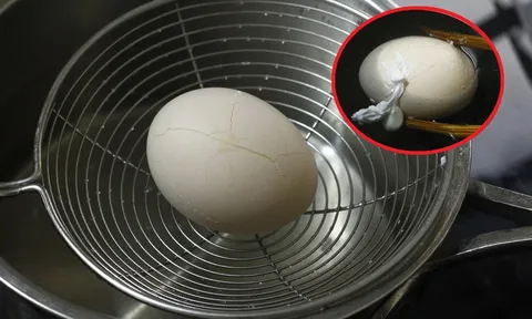 Vì sao trứng luộc lại bị nứt vỏ và phòi lòng trắng?