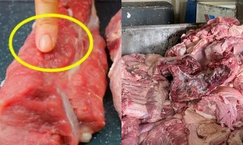 5 dấu hiệu tố giác thịt lợn hỏng, đừng ham rẻ mà rước bệnh vào người