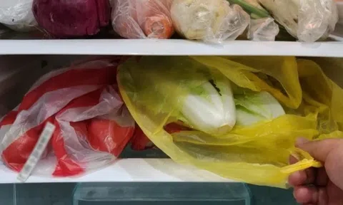 Cho rau củ đựng trong túi nylon vào tủ lạnh có hại như thế nào?