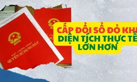 Tử 8/2024: 9 trường hợp này cần đi cấp đổi lại Sổ Đỏ: Cố tình giữ lại chỉ mất quyền lợi