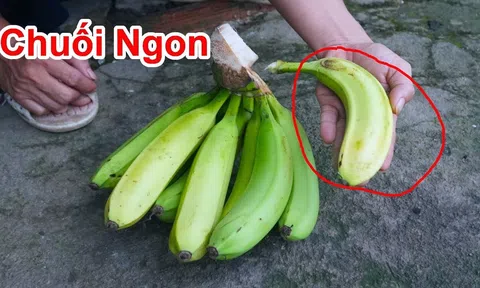 Người bán hàng không bao giờ nói: Mua chuối chọn quả cong hay quả thẳng thì ngon?