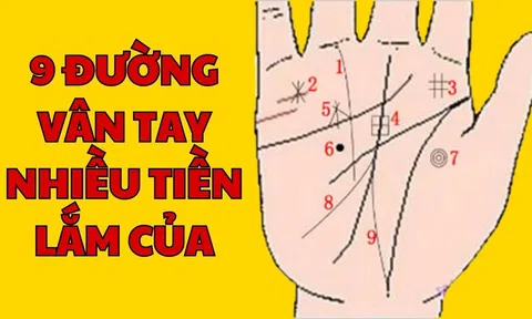 Tổ Tiên nói: 9 đường vân tay nhiều tiền lắm của, phú quý đuổi theo ầm ầm