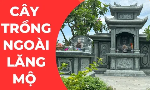 3 cây không trồng ngoài mộ, 4 cây không mọc trong nhà, là những cây nào?