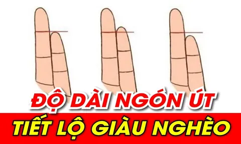 Thầy tử vi chỉ rõ: Nhìn độ dài ngón út biết tương lai giàu sang hay nghèo hèn mạt kiếp, chuẩn hơn nhìn mặt