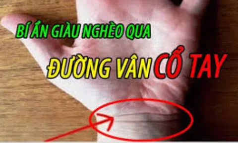 Nhìn đường vân cổ tay, biết tương lai sướng khổ hay giàu nghèo