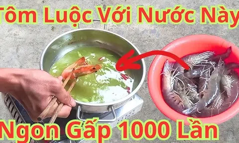 Luộc tôm cho thêm nắm lá này khử hết mùi tanh, tôm đỏ au lại không bị đen đầu