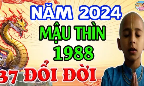 Thần Tài báo mộng: 3 tuổi tháng 11 giàu sang, tháng 12 phát đạt, một bước thành đại gia