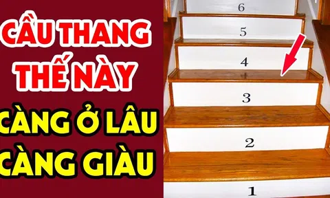 Đếm bậc cầu thang trong nhà: Rơi trúng số này bảo sao tiền của 'trôi' sạch