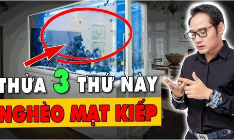 Trong nhà có quá nhiều 3 thứ này càng nghèo: Đó là 3 thứ gì?