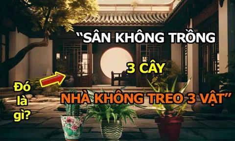 3 cây trồng ngoài sân mất của, 3 vật treo trong nhà tiền ra đi hết, là cây gì- vật gì?