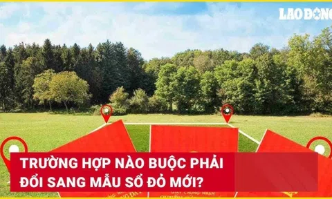 Các trường hợp bắt buộc phải đổi sang mẫu sổ đỏ mới kể từ 1/2025: Người dân cần lưu ý