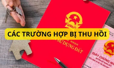 Từ 1/2025, những loại sổ đỏ này sẽ bị thu hồi, người dân cần nắm bắt ngay