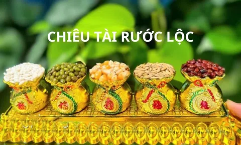 Tại sao nhà giàu thờ 5 loại hạt đậu? Ý nghĩa và cách thờ như thế nào?